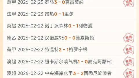 “阿方索膝盖软骨受损，或需休战逾月，据《图片报》报道”